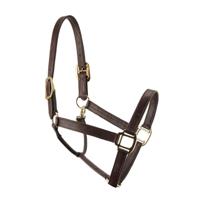 Nylon Covered Halter